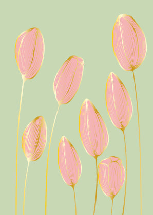 Tulpen