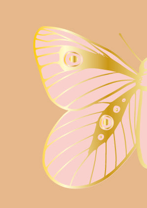 Schmetterling