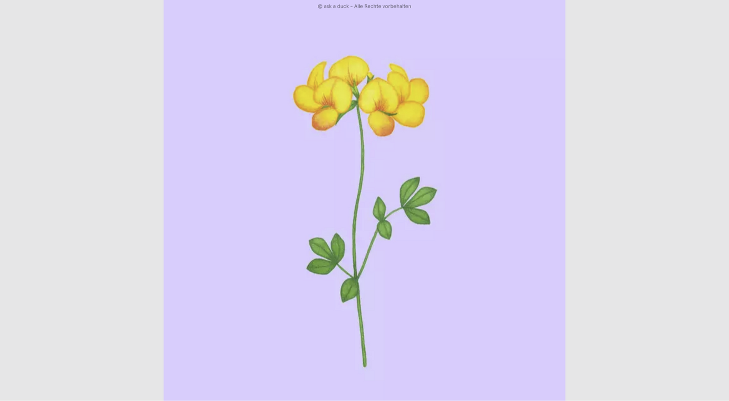 Dekokissen "Hornklee" – florales Design auf fliederfarbenem Grund