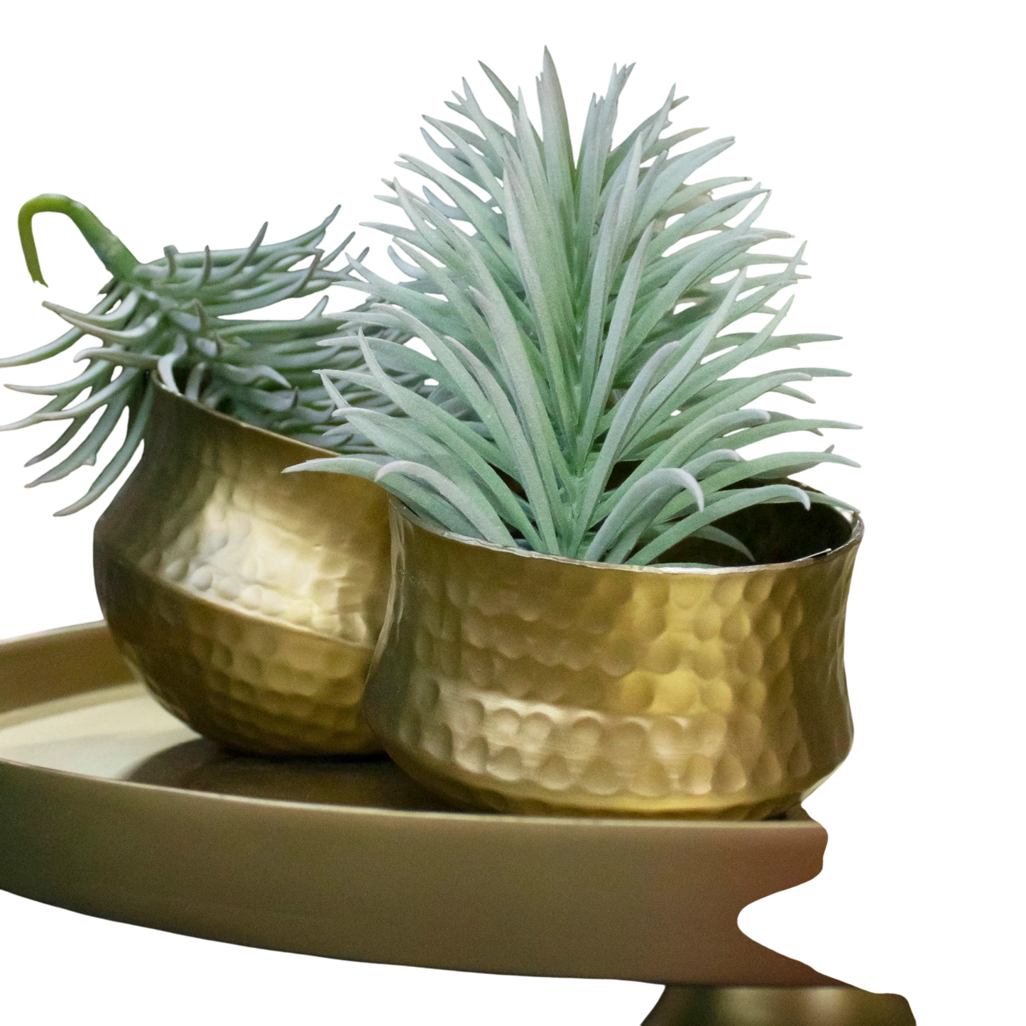 Windlicht / Übertopf in BRONZE 14x14x10 Übertopf Colmore