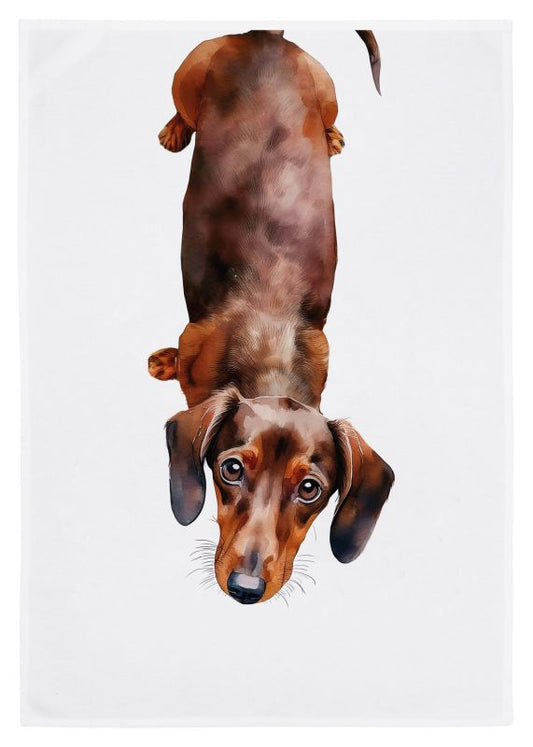 Geschirrtuch „Dackel“ – Charmanter Küchenhelfer aus Bio-Baumwolle Geschirrtuch Miss Cotton