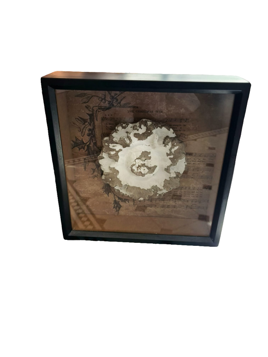 Bild hinter Glas – 38x38 cm