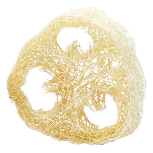 Natürliche Luffa-Scheibe | Nachhaltige Seifenablage & sanftes Peeling