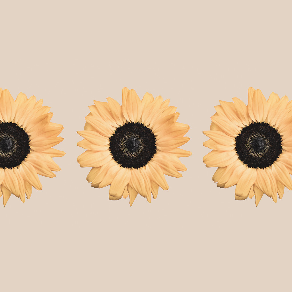 Kissen Sunflower (inkl. Füllung)